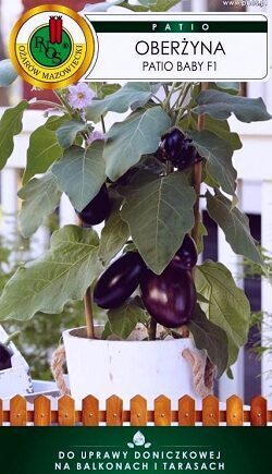 Baklažāni mini Patio BABY F1 15 gab PNOS